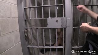 How to Lock Down a Greyhound - 06.15.21 Video Sex Downlo...