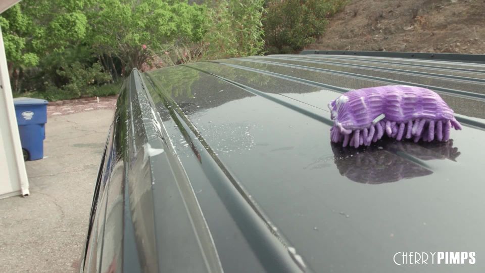 Lana Violet - Petite Mobile Car Wash Babe Prefers Washing Cocks Over Cars 7201080p 010621
