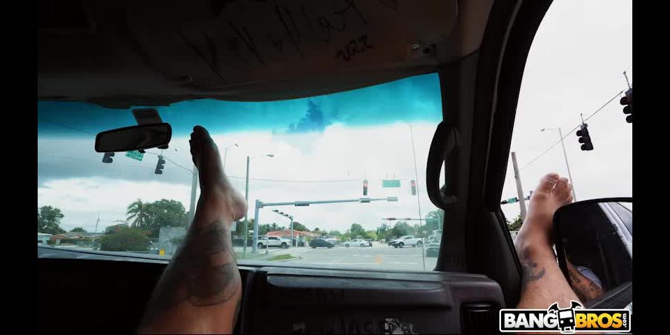 free adult clip 27 Sunshine Tampa – Sunshine Tampa  - bangbus - fetish porn stocking fetish porn