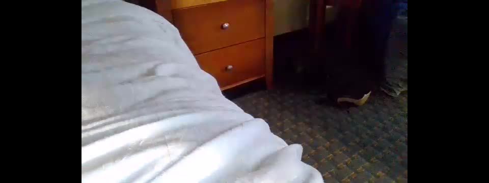 xxx video 5  Shemale Webcams Video for March 30, 2020 – 15, shemale and gays on webcam