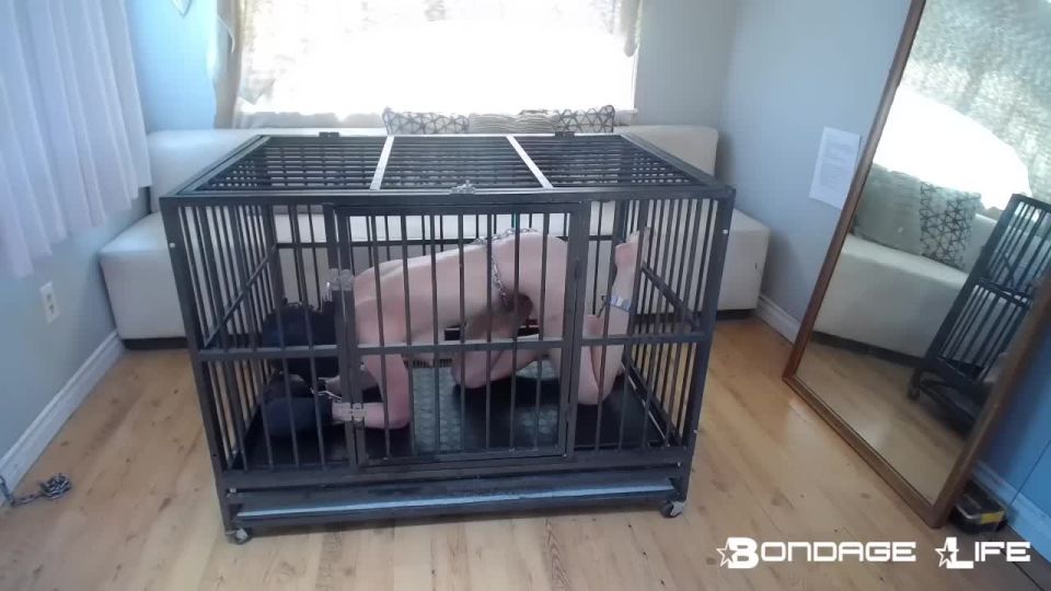 xxx video 19 russkie lesbi bdsm porno Bondage Life – Playful Cage Time – 7/2/2021, bondage on fetish porn