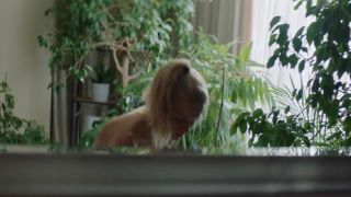 Elena Tronina, Lyubov Tolkalina, etc - Happy End s01e02 (2021) HD 1080p_0001 - [Celebrity porn]