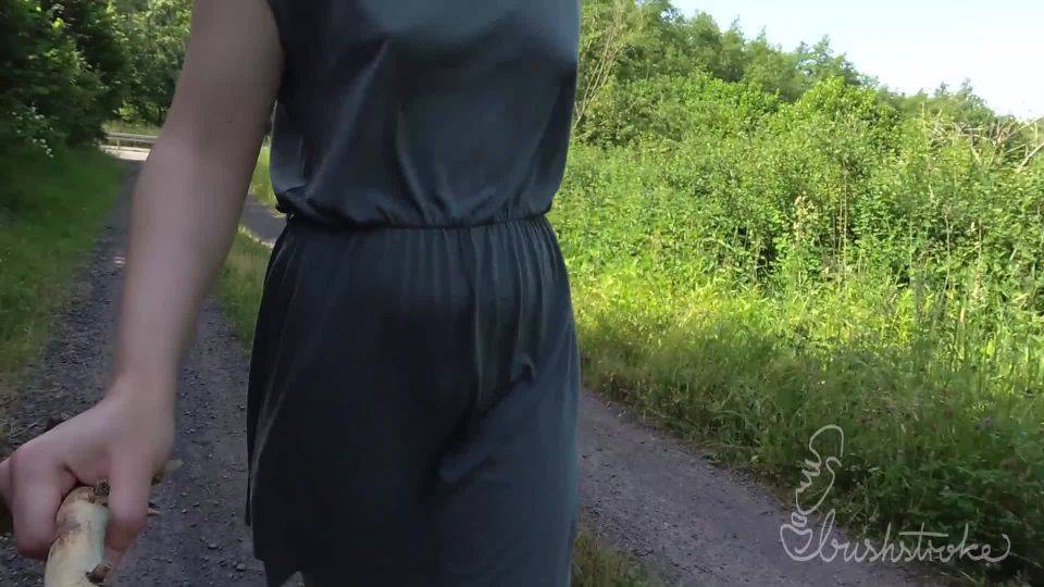 free porn video 4 Bushstroke – Locked My Clothes and Left Key by a Road - bushstroke - public femdom ponyplay