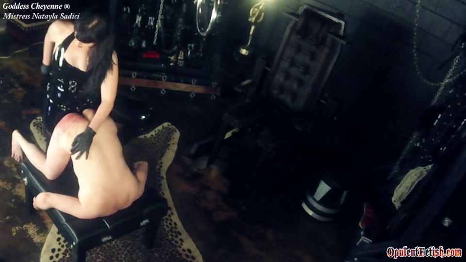 Femdom Femdom Diosa Cheyenne - Bolitas profunda perra