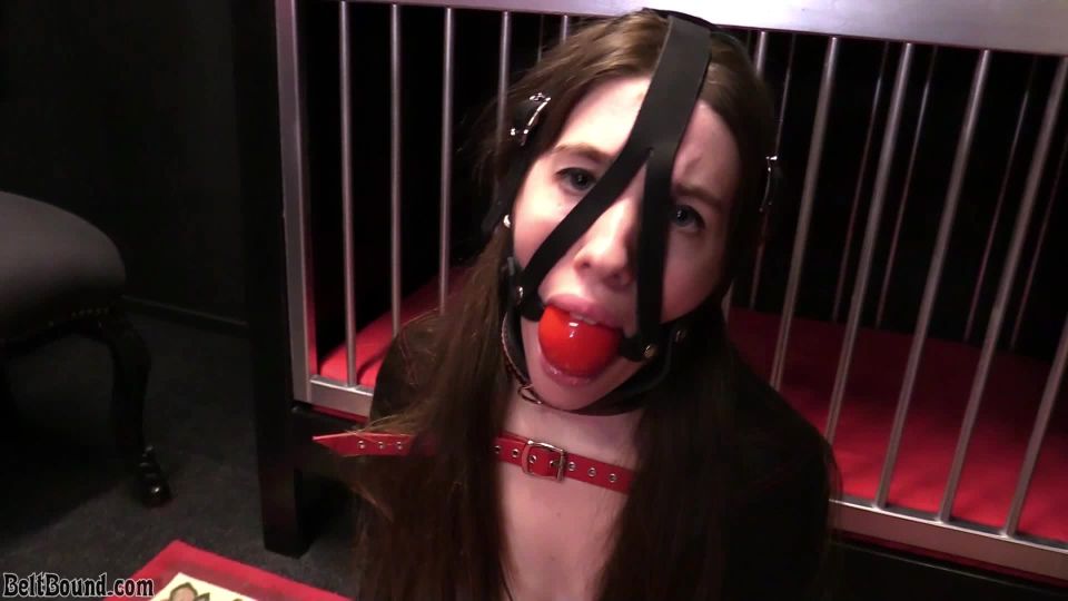 online clip 35 BeltBound – Ivy Red – cage training!, macro fetish on femdom porn 