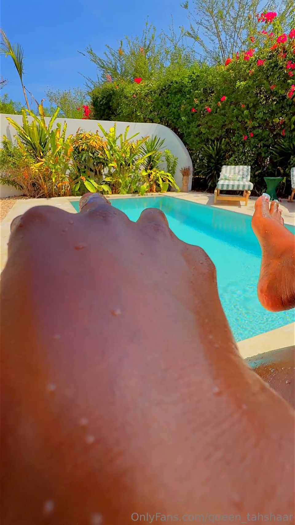 reina tahshaar qt042