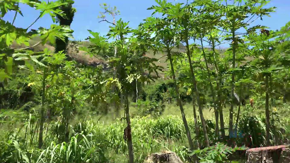 La aventura de senderismo de Lola Fae debe verse al aire libre