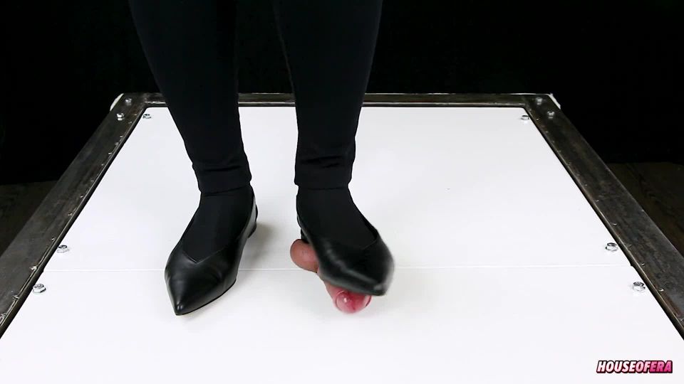 Pornhub.com - House of Era - Siterip - K2S - Free Porn Streams - Watch or Download Shoejob sockjob footjob and cock trampling in cockbox ballet flats