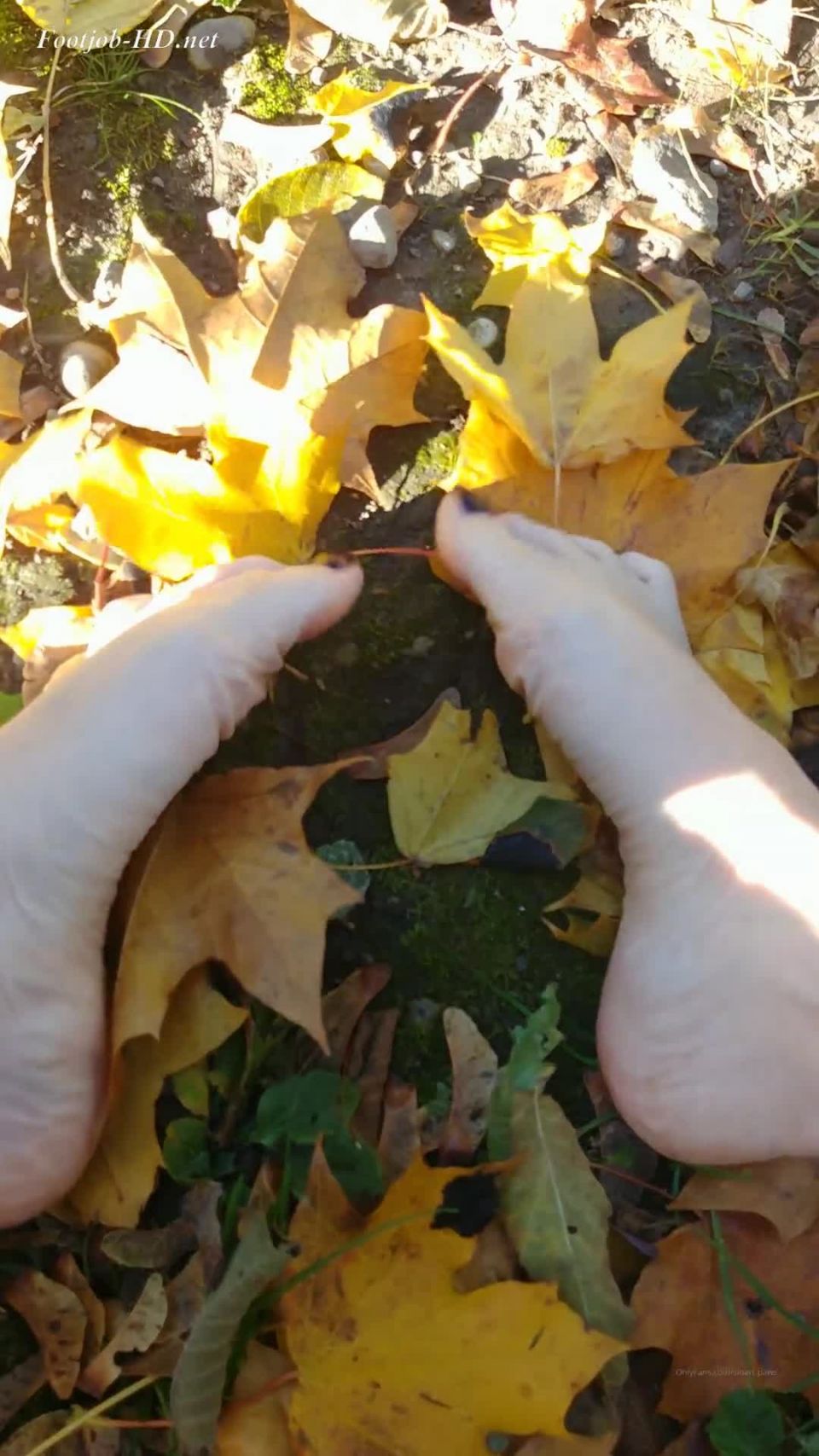 porn clip 44 femdom - femdom porn - femdom strapon mistress