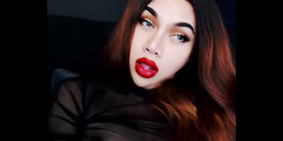 Shemale Webcams Video for August 26, 2019 – 13!!!