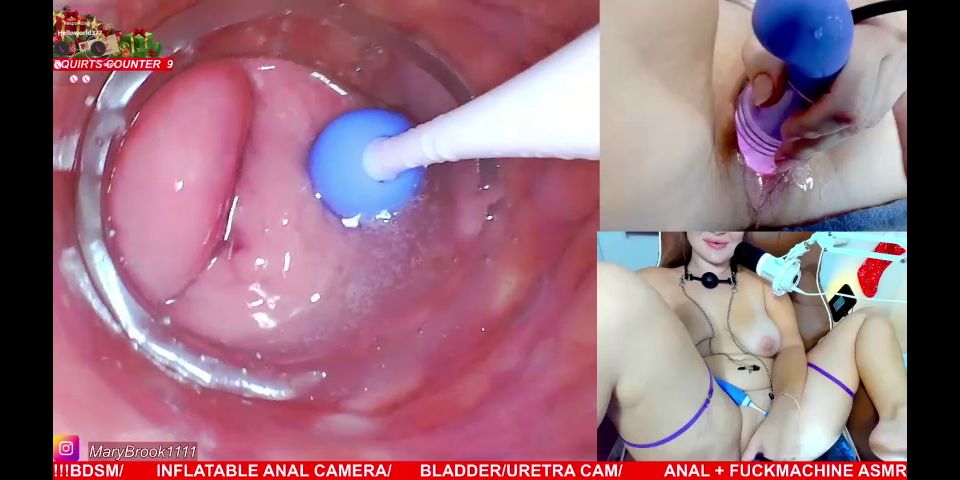 Maduras porno Kitten Mathema Kitten @mathema-kitten - OnlyFans #400