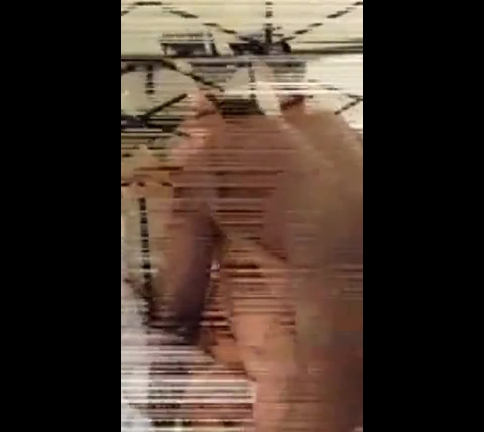 La esposa de Glp-salt Lake City tiene un par de nuevos Dicks Negros - MILF