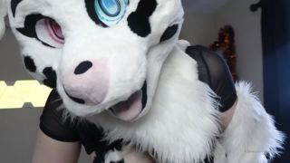 Onlyfans - Dotti Pink - dirtydotti - dirtydottipart one fursuit show live on Chaturbate - 09-11-2019