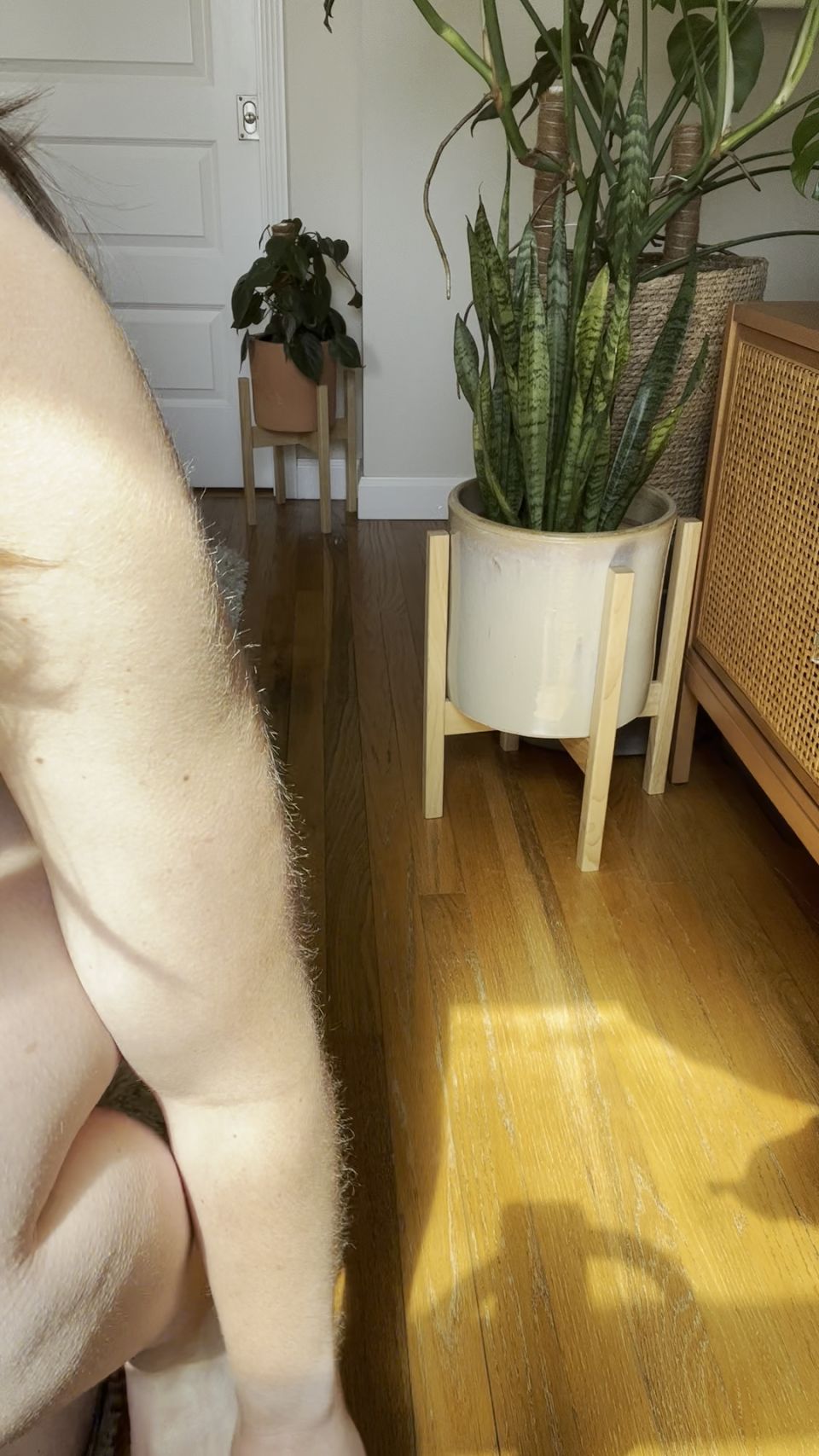 gratis video en línea 22 Nicolette Bloom – Ganar mis bragas mientras que follo tu culo - video joi - masturbación porno anikka albrite femdom