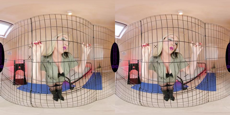 Mistress Sidonia - Ultimate Prison Denial - VR - TheEnglishMansion (UltraHD 2023) New Porn