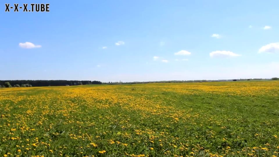  Vira Gold  hardcore Casual Blowjob From A Stranger Girl In The Flower Field