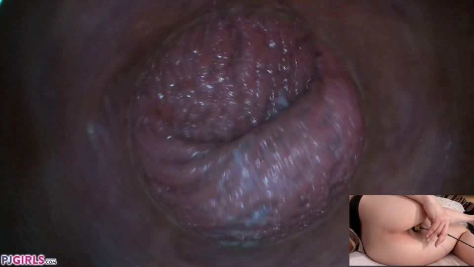 Pjgirls presents Lily Joy – Pussy Cam -RAW Footage – 2020-04-04!!!