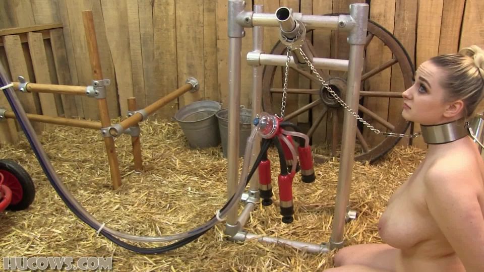 adult video 11 chinese bdsm Clara - Red cow milker, bdsm on bdsm porn