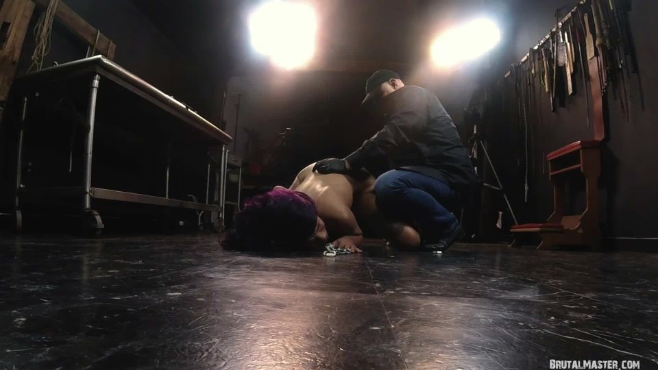 Cupcake SinClair - abajo sangrado perro vídeo sexo Downlo...