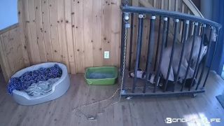 online adult clip 28 BondageLife – Cage Time For Greyhound (Extended Edition) - bdsm - bdsm porn desi bdsm