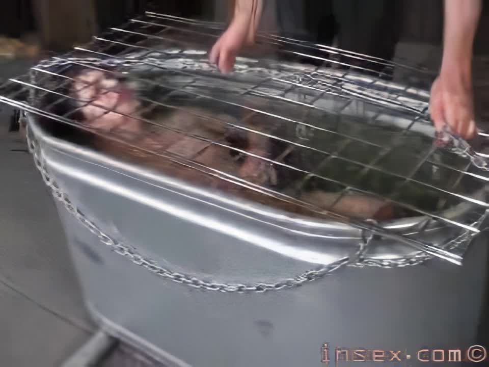 2000.11.22 - Yx 24h Live Feed Parte 2-2 (Yx, Cybil, Viol...