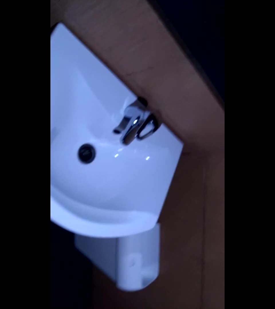 Sex In a Public Toilet