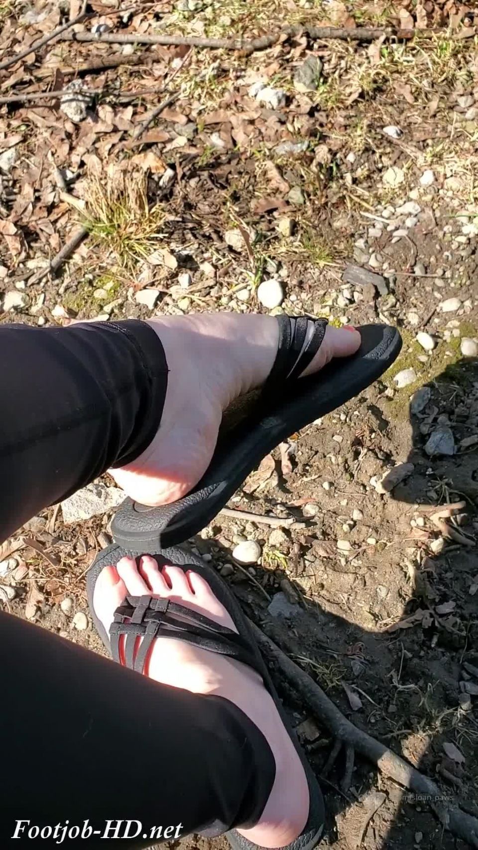 online porn video 41 Sloans Paws 25, lesbian milf foot fetish on feet porn 