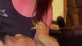 Vlproductionsuk - Vivienne l'Amour Vlproductionsuk - duck baby updates theyre getting big 30-06-2021