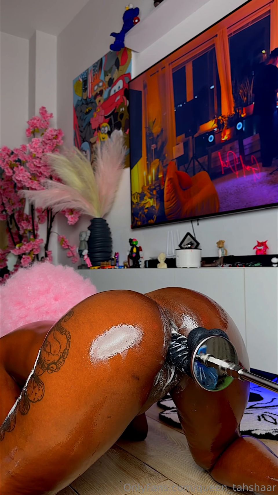 reina tahshaar qt091