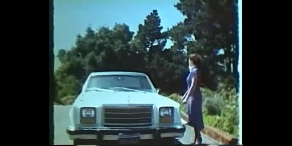 Swedish Erotica 308 Flat Tire 1970's