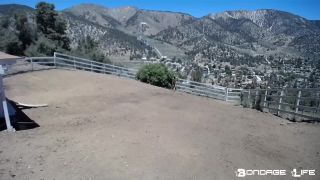 Yard Maintenance (Dirt Edition) - 12.21.20 Download Porn ...