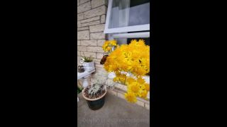 LittleMapleBerry () Littlemapleberry - thought id upload my tiktok haha its not a vlog but i thought you guys would enjoy it a 14-02-2022