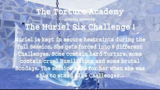 The Muriel 6 Challenge - Waiting for the new challenge S...