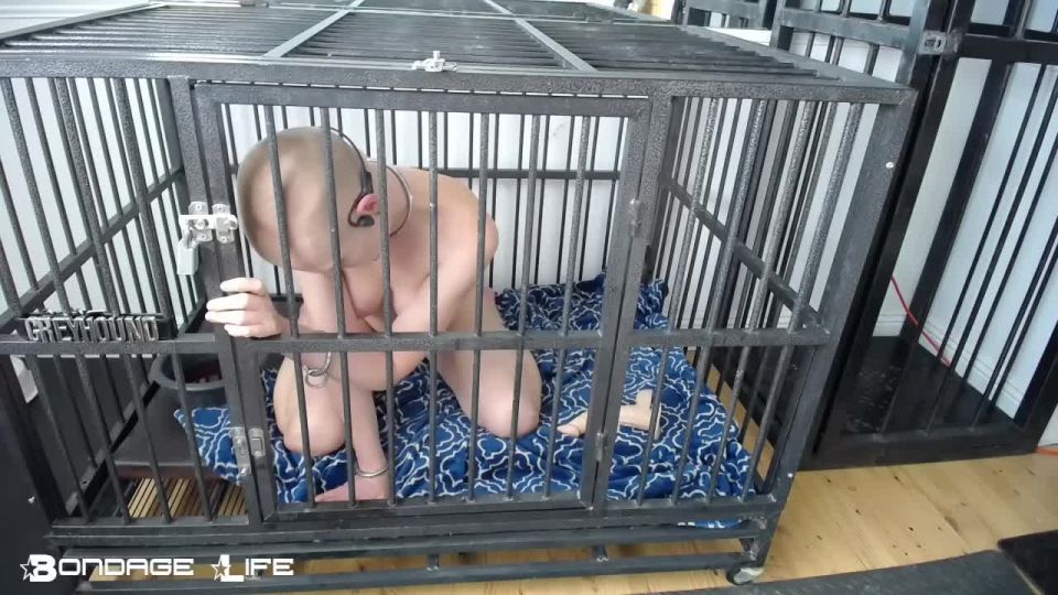 xxx clip 22 BondageLife – Cage Time With Greyhound (Brief Nap Edition), fetish wife on fetish porn 