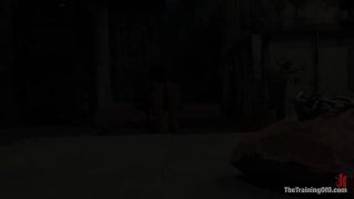 The Training of Princess Donna, Day Two Princess Donna D...