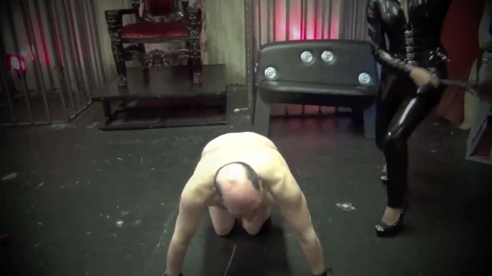 video 11 Watch Free Porno Online – Goddess Sherrie Blossom – WHIPPED LIKE AN ANIMAL (MP4, HD, 1280×720), jenni lee femdom on femdom porn 