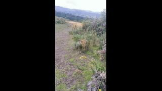 La Encuentro Sola En El Bosque Y Terminamos Fumando Y Follando En Públi