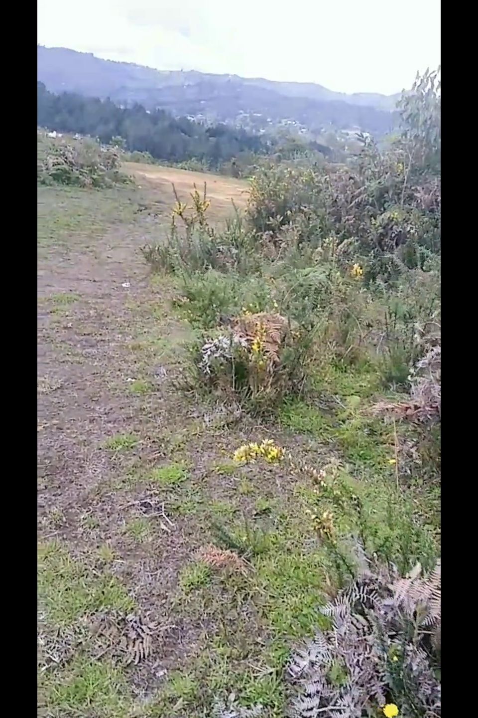 La Encuentro Sola En El Bosque Y Terminamos Fumando Y Follando En Públi