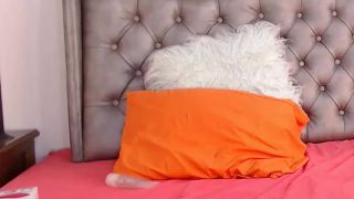 porno clip 33 Webcams Transexuales Video de enero 19, 2019 – 10 en transexuales porno