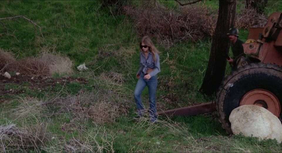 Susan Player - La invasión de las Bee Girls (1973) HD 1080p - (Celebridad porno)