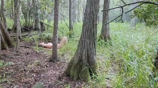 Woodland Nymph – The Neighbor - Woodland nymph