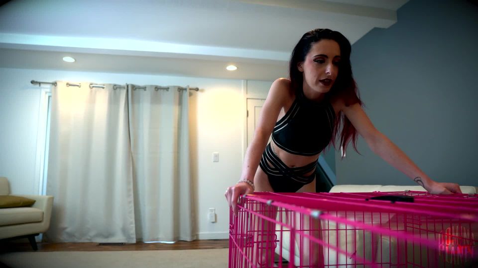 free adult video 22 Domina Planet - Mistress Ivy Jane - My Puppy Face Chair - FullHD 1080p, sarah shevon femdom on femdom porn 