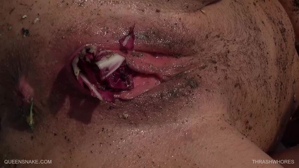 QueenSnake – Thrashwhores 2016 July 9,  on fisting porn videos 