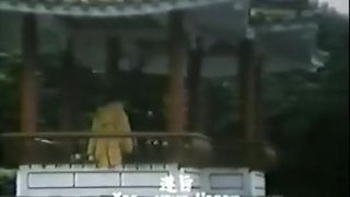 Kung Fu Cockfighter (1976)!!!