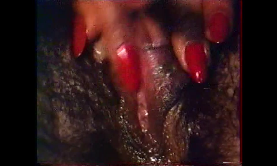 Les Sept Perversiones de Vanessa (1986) - [Vintage]