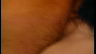 HallOfFameStars sororitysexkittens selenasteele