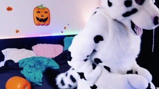 Dawn Willow Dawnwillow - furry stuff for fun 31-10-2018