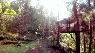 adult video 42 Cumming in the Forest in the Sunny Trees - solo masturbation - toys bbw pawg bbc