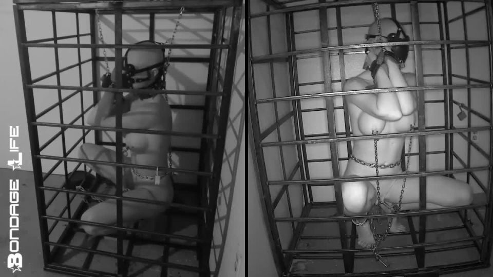 xxx video 6 Bondage Life – Más tiempo de almacenamiento para galgo, bdsm masculino peludo en bdsm porno