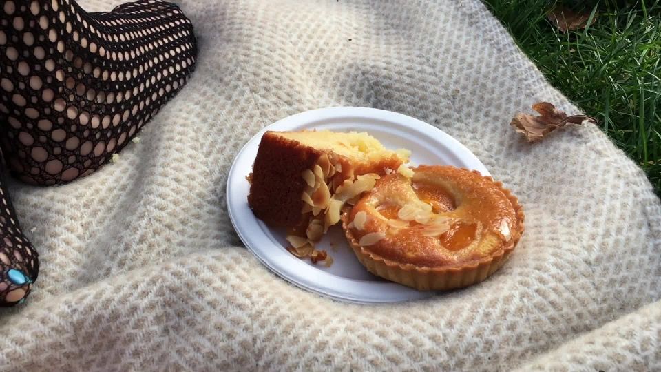 video porno online 33 Public Picnic Flash And Cum w/ My Friend 1080p – Virtual Geisha - flashing público - realidad virtual asiática rostro de la sentada